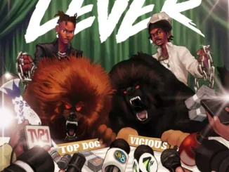 Vusic Ft. Zinoleesky– Lever