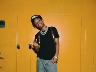 Yucca – Beautiful things