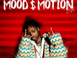 Yucca – Better days