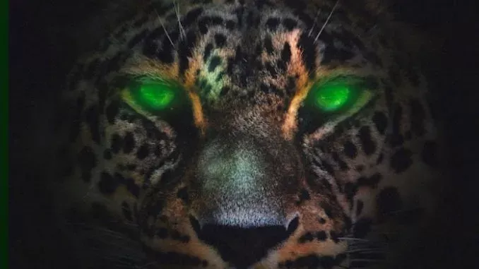 Desiigner – Jaguar