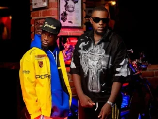 Slapdee & Dizmo ft. Dreckzine – Asante