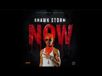 Shawn Storm – NOW Mp3 Download
