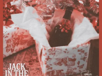 Confidence Man – 17